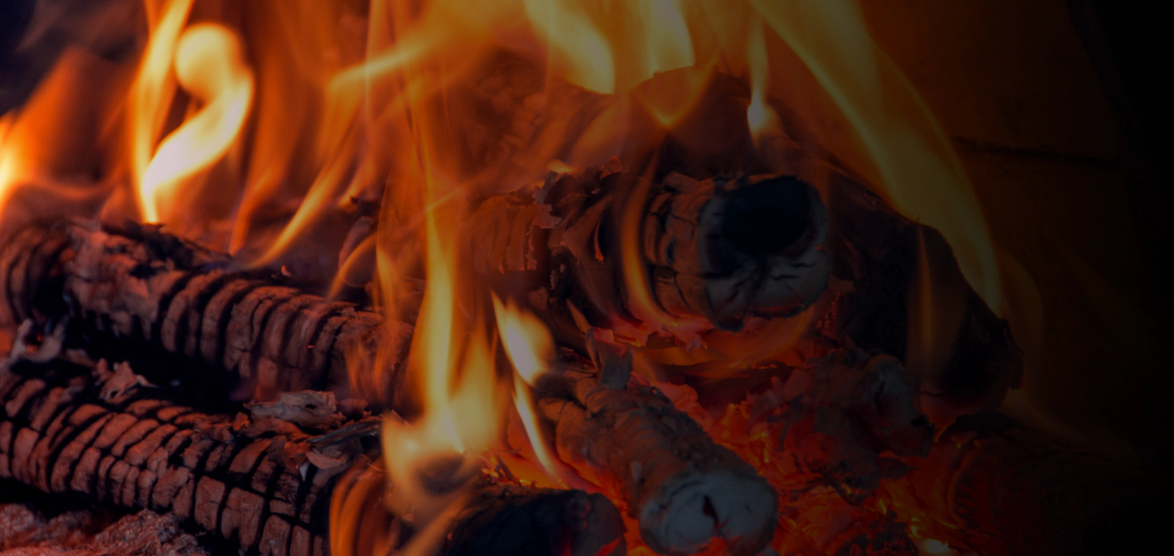 firewood delivery (4)